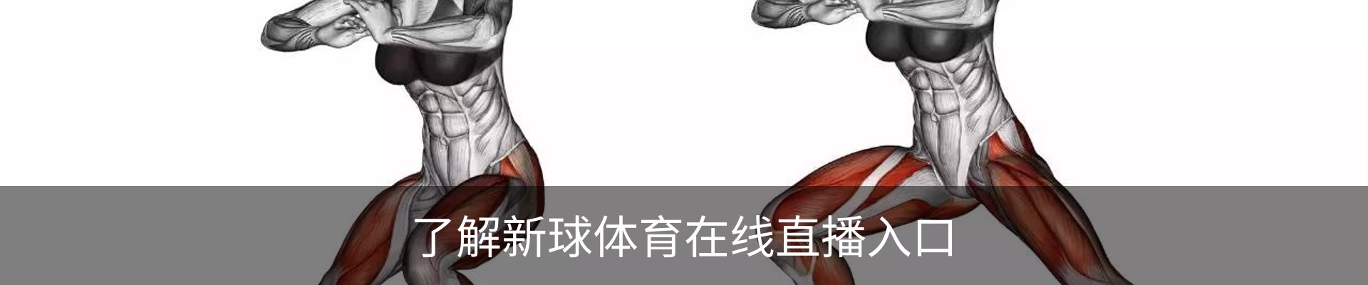 了解新球体育在线直播入口
